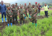​Mnadhimu Mkuu wa JWTZ atembelea mradi wa kilimo cha Mpunga Chita